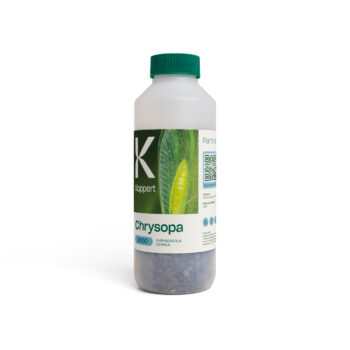 Chrysopa 1.000 (fles)