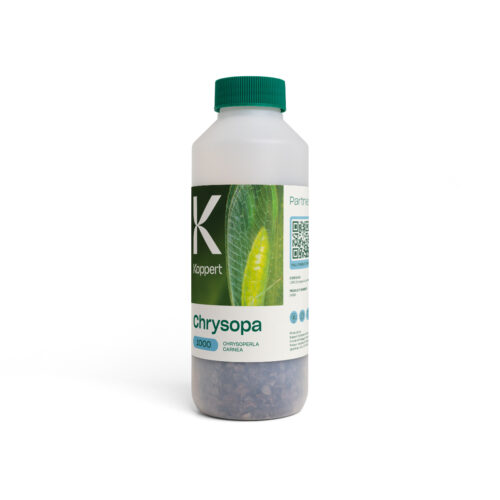Chrysopa 1.000 (fles)