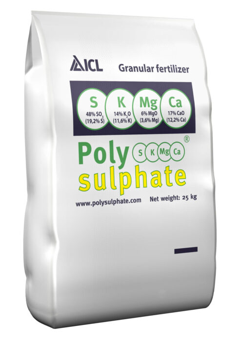 Polysulfaat 0-0-14+14 25kg (zak)