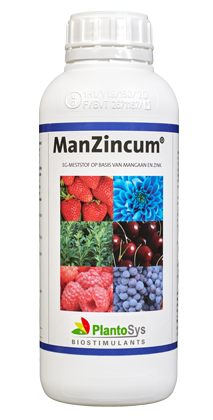 ManZincum 1ltr (fles)