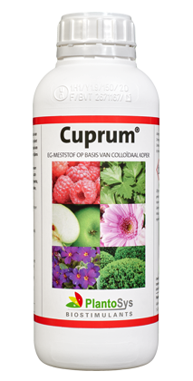 Cuprum 1ltr (fles)