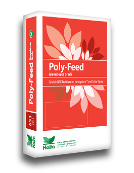 Polyfeed 9-15-38+2MgO Pavane 25kg (zak)