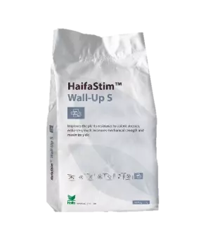 HaifaStim Wall-Up S 1kg (zak)