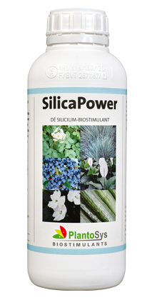 SilicaPower 1ltr (fles)