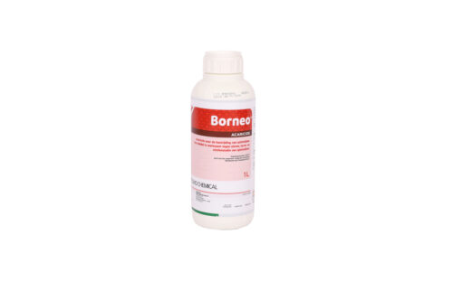 Borneo 1 liter (fles)