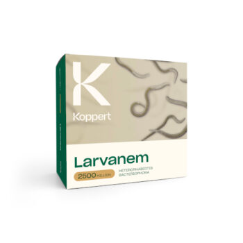 Larvanem Heterorhabditis bacteriophora 2500 miljoen doos