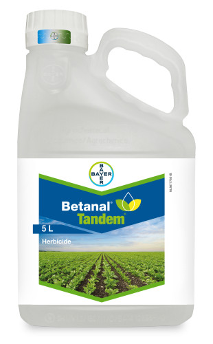 Betanal Tandem 5 liter can bayer