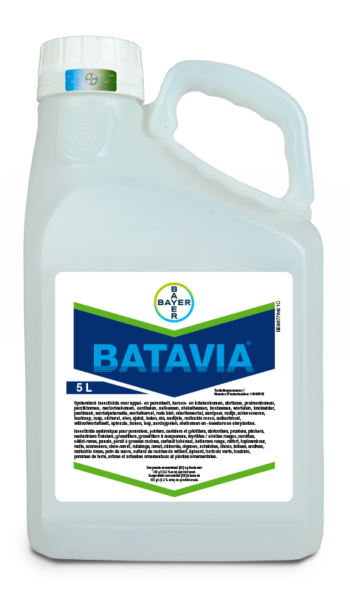 Batavia 5 liter can